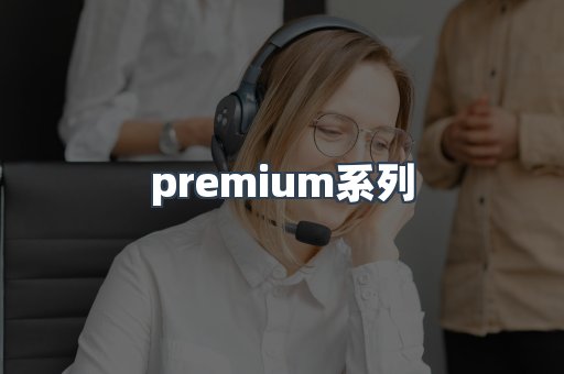 premium系列